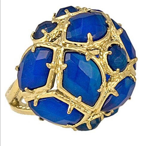 Kendra Scott Jewelry - Kendra Scott Vintage Blue Agate Poppy Ring
